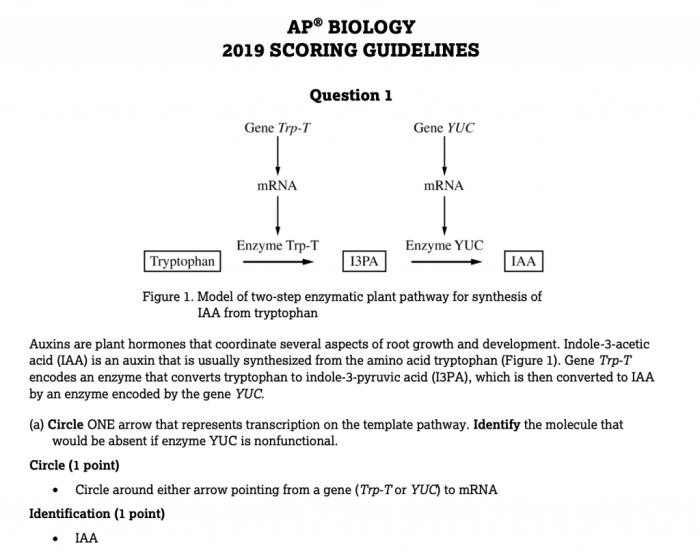 Ap bio 2020 practice exam 1 frq