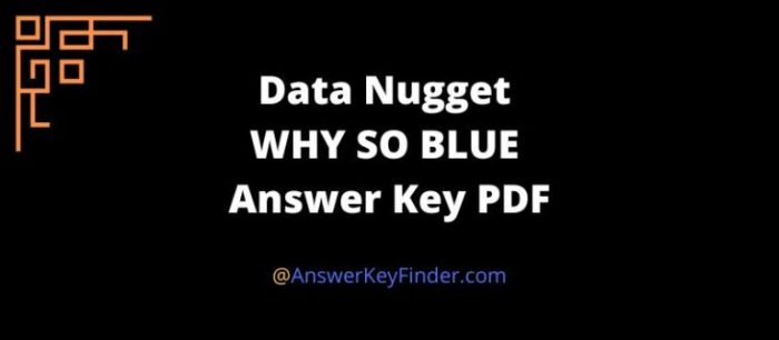 Data nugget breathing in part 1 answer key