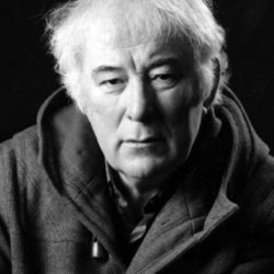 Heaney seamus poet ordinario sublime poeta stewe ediciones visor gwarlingo europapress holly