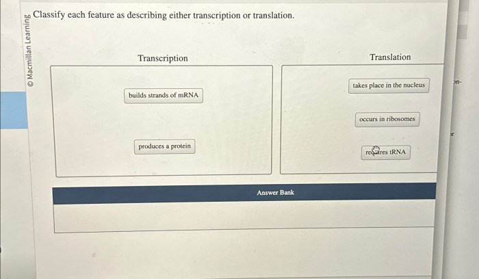 Classify each feature as describing either transcription or translation