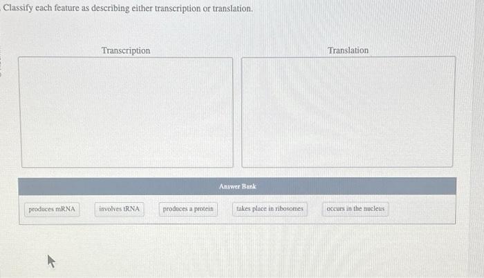 Classify each dna either characteristic describing rna solved transcribed problem text been show has