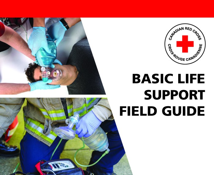 Bls algorithm resuscitation cardiopulmonary